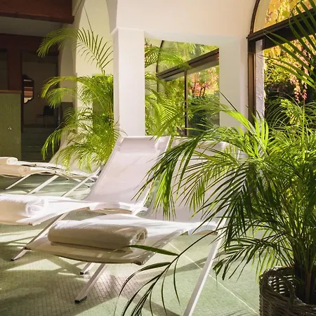 غاستوف براندستاتر 4*