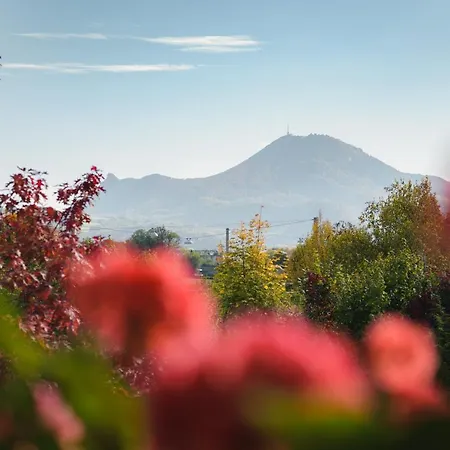 غاستوف براندستاتر فندق