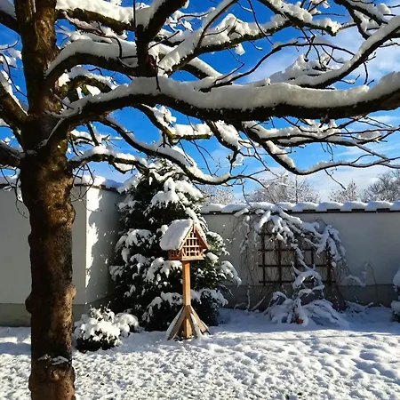 Отель Brandstaetter Зальцбург