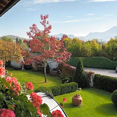 Brandstaetter Salzburg