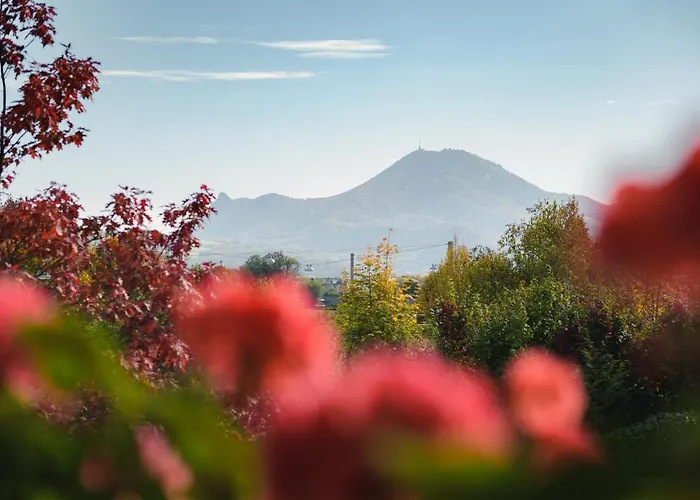 Brandstätter Hotell