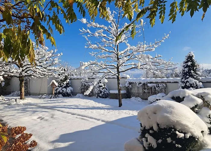 Brandstätter Salzburg