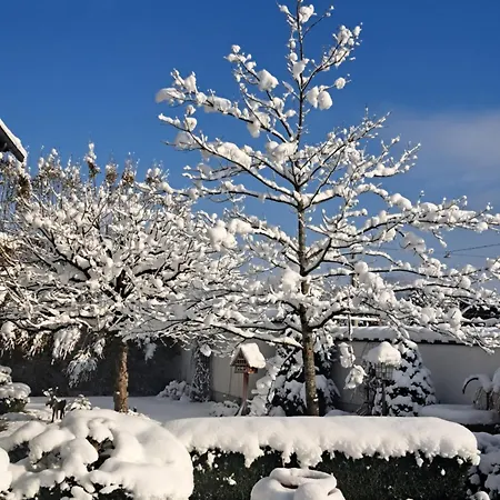 가스트호프 브란트슈테터 4*