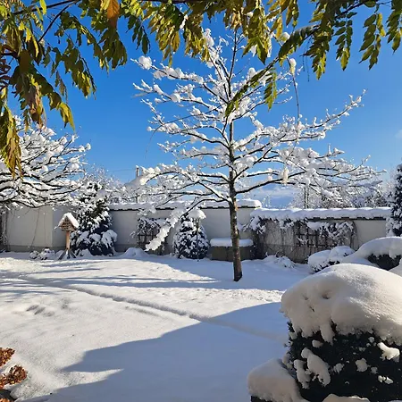 가스트호프 브란트슈테터 잘츠부르크